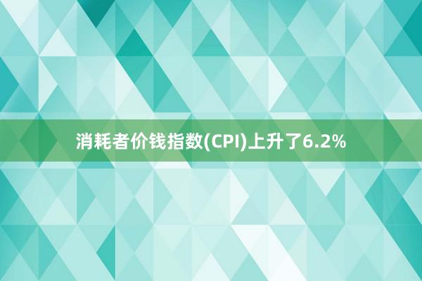 消耗者价钱指数(CPI)上升了6.2%